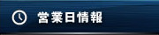 営業日情報