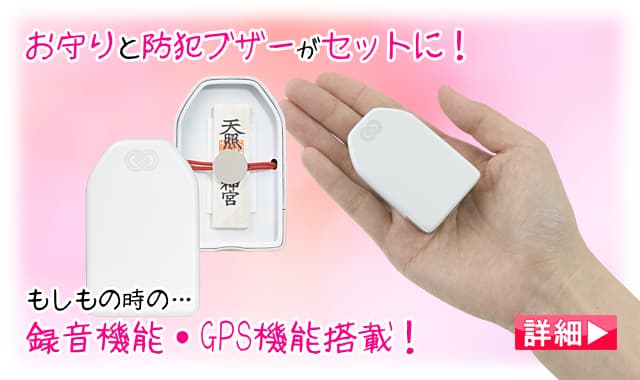 セキュリティグッズ、護身用グッズ - 防犯カメラ